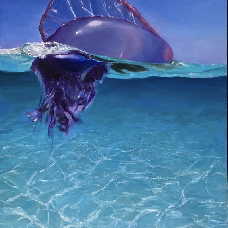 Man-o-War